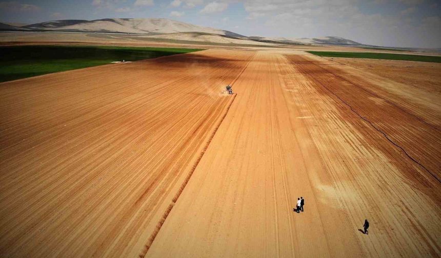 Konya Ovası'nda yağışlar rekolte beklentisini arttırdı