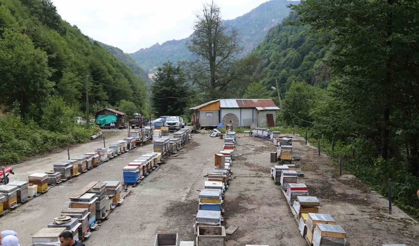 Mevsim normallerinin altında seyreden hava sıcaklığı arıcıları vurdu, uzmanlardan kritik uyarı