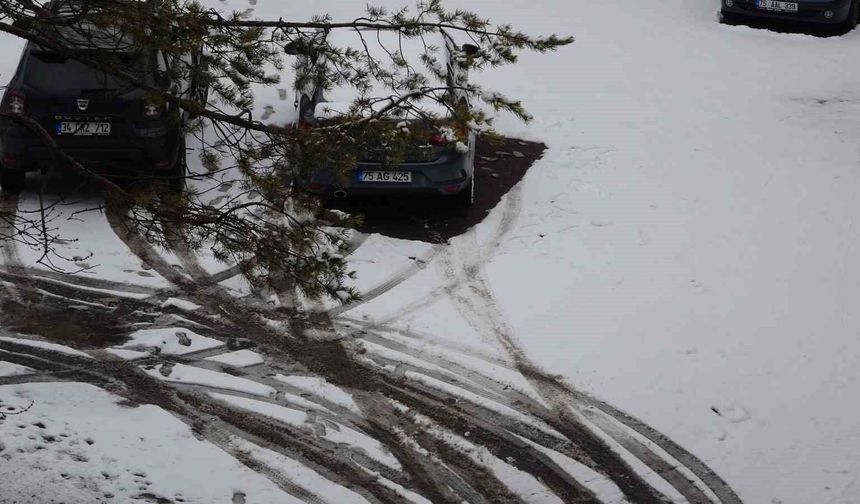 Nisanda kar sürprizi