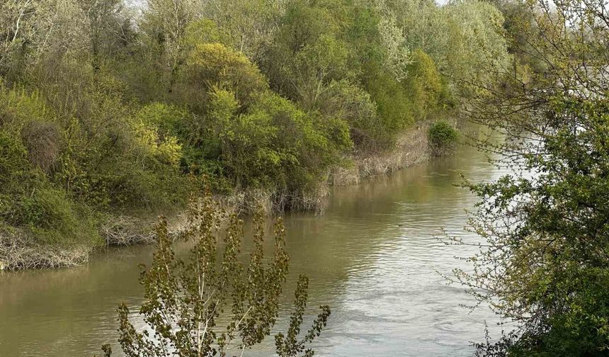 Sakarya Nehri'ne düşen çocuk didik didik aranıyor