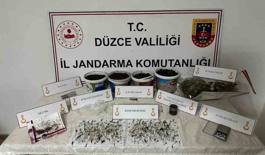 Saksıda kenevir yetiştiren şahıs gözaltına alındı