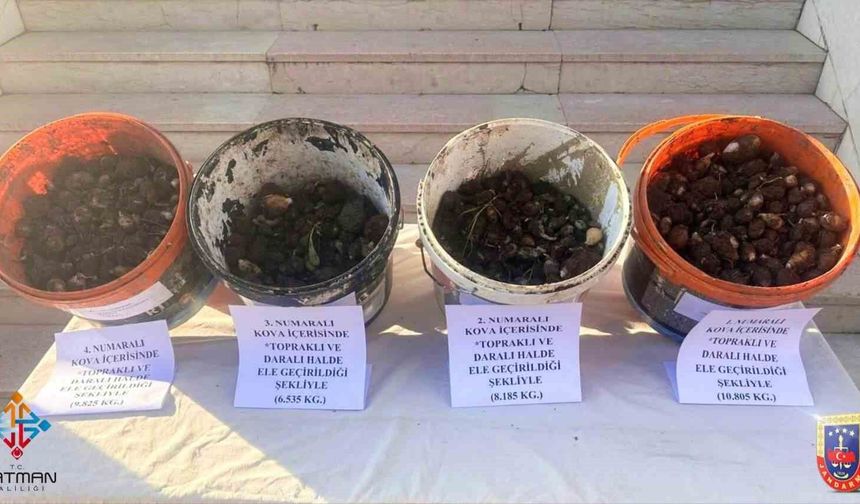Sason'da endemik bitki operasyonu: 4 kişiye 2 milyon 8 bin lira ceza