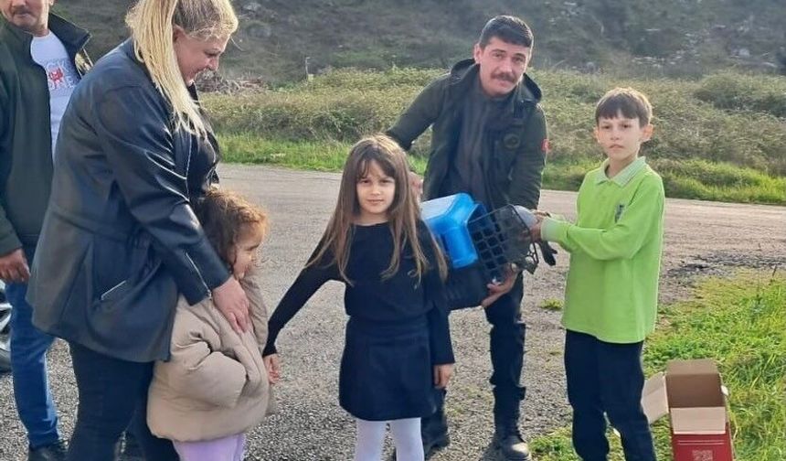 Sinop'ta minik öğrenciden yaralı güvercine şefkat eli