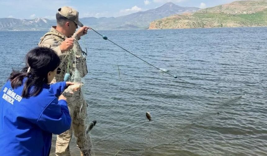 Şırnak'ta yasak dönemde yakalanan balıklar doğaya kazandırıldı