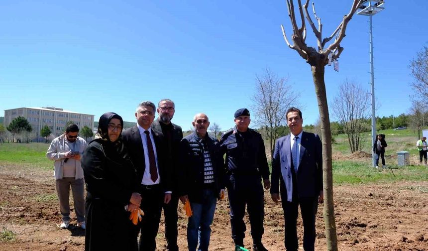 Sivas'ta şehitlerin adı fidanlarda yaşatılacak