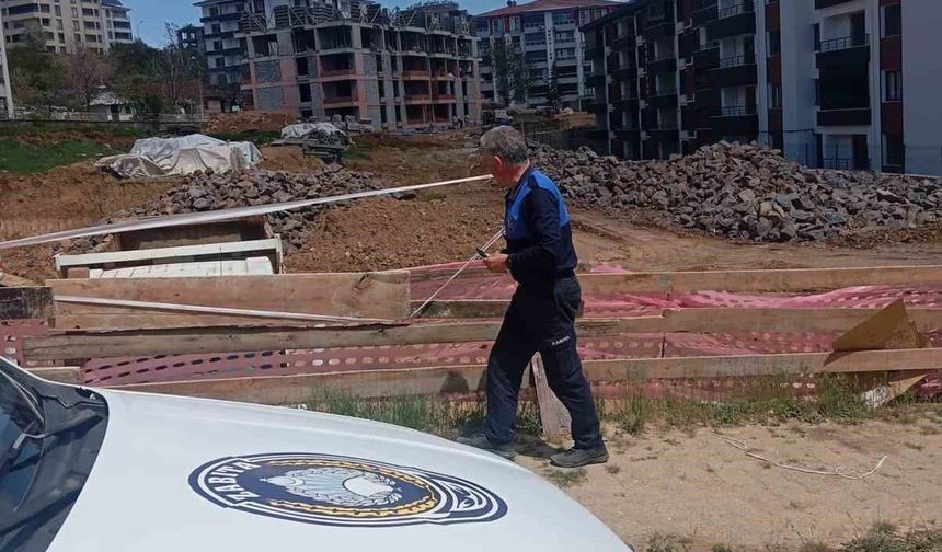 Tunceli zabıtasından çevre temizliği için denetim