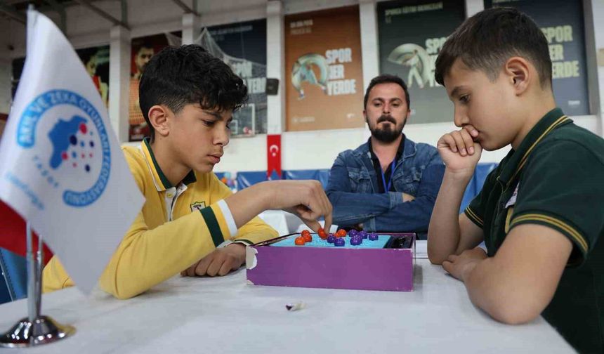 Tunceli'de akıl ve zeka oyunları il turnuvası düzenlendi