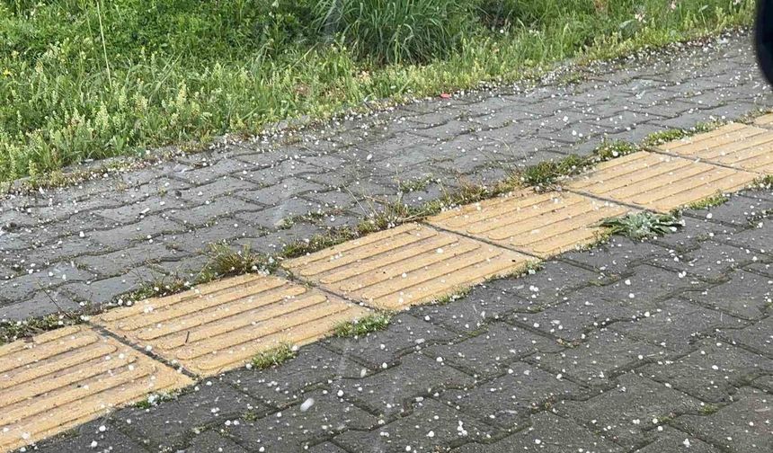 Tunceli'de gök gürültülü sağanak ve dolu yağışı etkili oldu