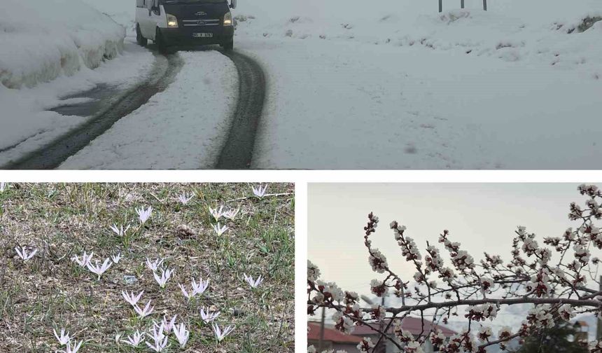 Van'da iki mevsim bir arada: Bir yanda bahar, diğer yanda kış