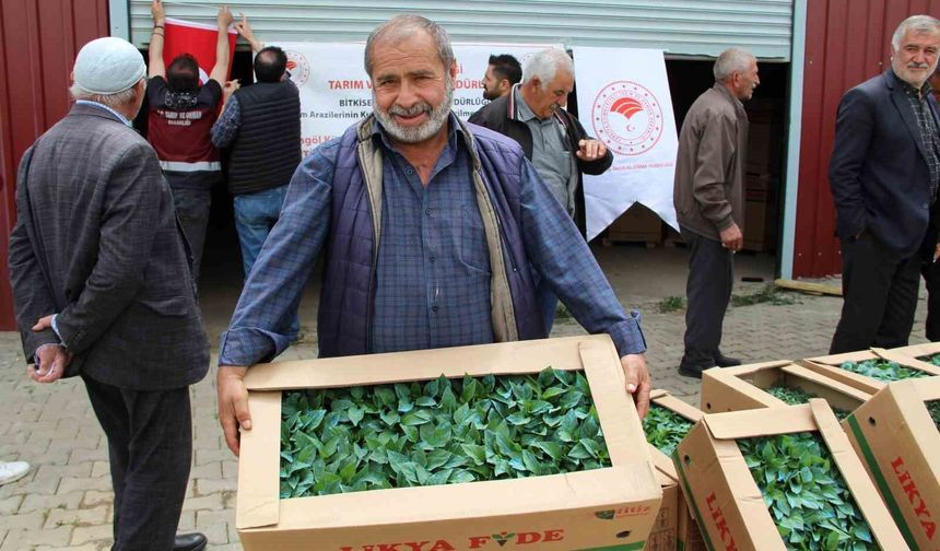 Bingöl'de 330 bin sebze fidesi üreticilere dağıtıldı