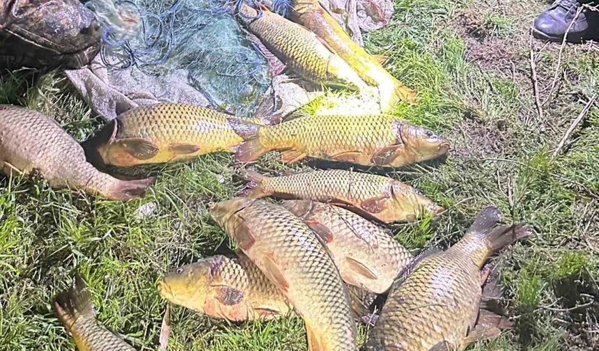 Eğirdir Gölü'nde kaçak avcılara suçüstü: 100 kilo sazan yeniden göle bırakıldı