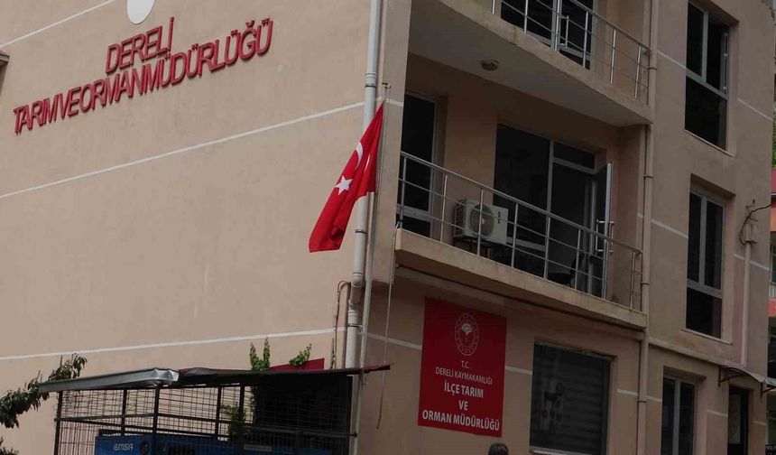 Giresun'un Dereli İlçe Tarım ve Orman Müdürlüğü'nde kamu zararı iddialarıyla ilgili soruşturma başlatıldı