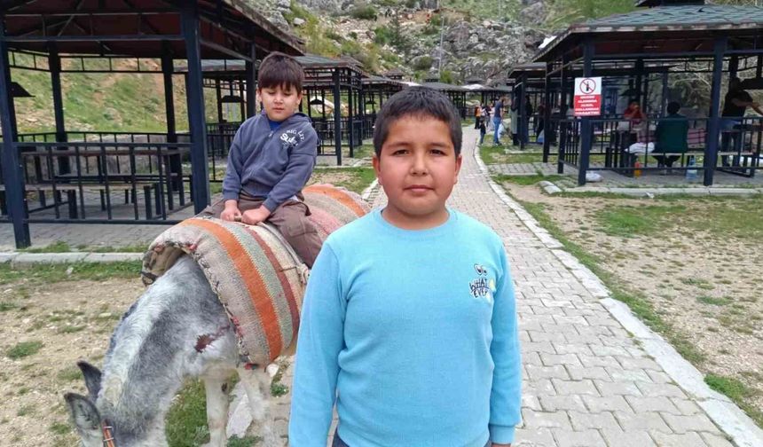 Homurlu'da eşek turları başladı