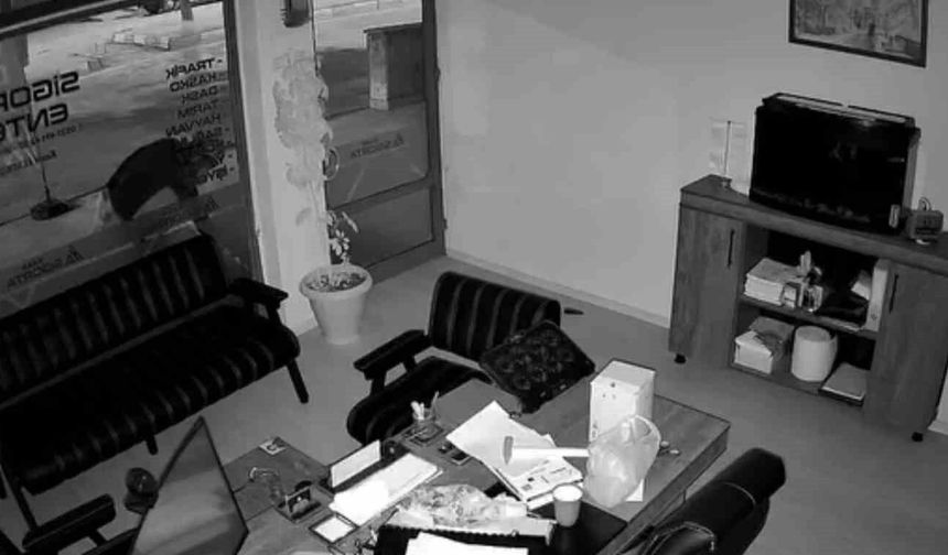 İş yeri önündeki saksıdaki çiçekleri söküp alıp gitti