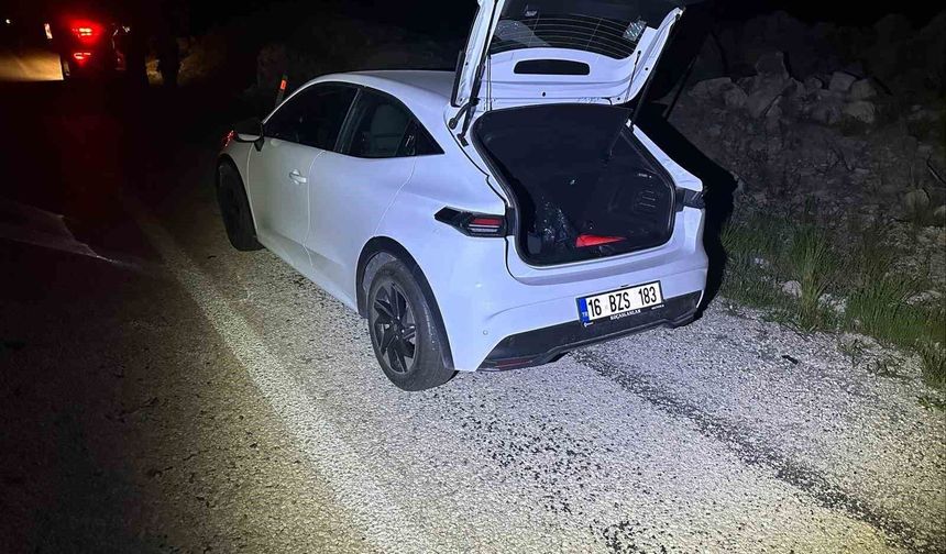 Önüne aniden çıkan köpeğe duramayarak çarptı