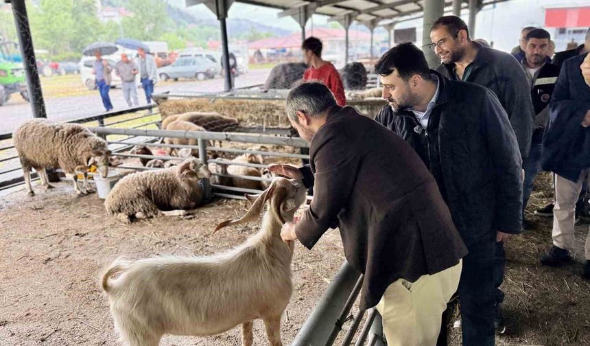 Şahin ve Çetinkaya'dan Kurban satış alanına ziyaret