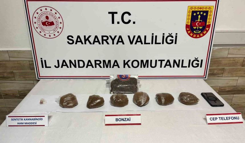 Sakarya'da 2 ilçede uyuşturucu operasyonu: 2 tutuklama
