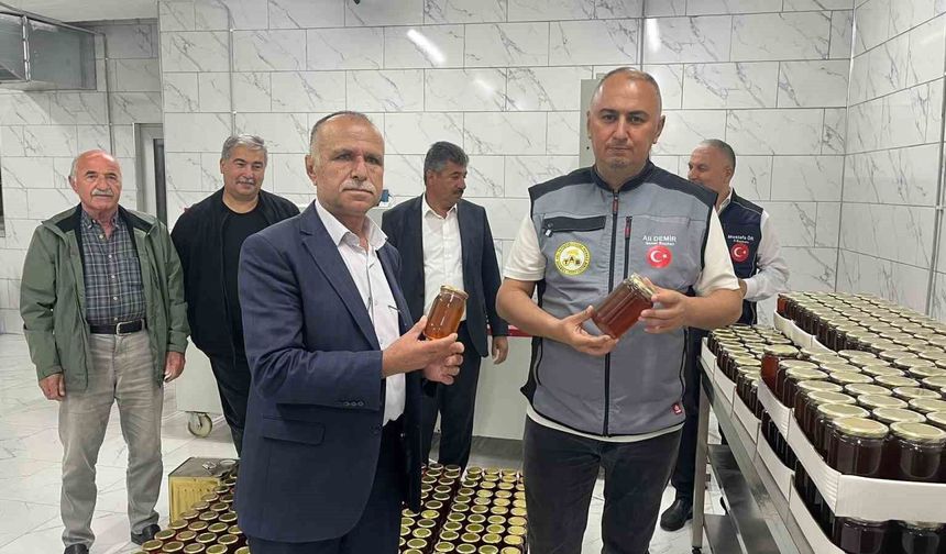 Türkiye Arı Yetiştiricileri Merkez Birliği Genel Başkanı Demir: 'Ani hava değişimleri arılarımızda ciddi hastalıklara neden oluyor'