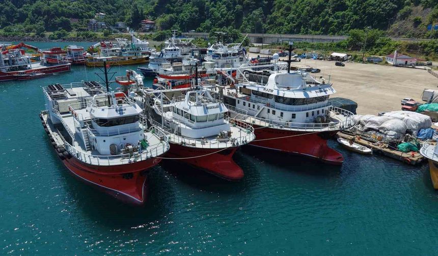 50 tonluk orkinos avı kotasını 42 günde doldurup Yoroz Limanı'na demirlediler