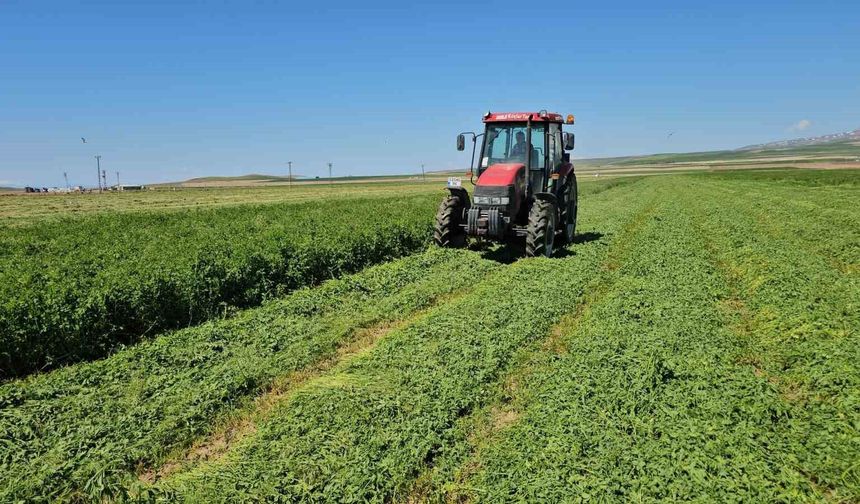 Adilcevaz'da ot biçme sezonu başladı