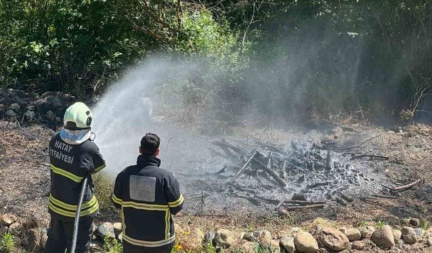 Antakya'da zeytinlik alan yangını