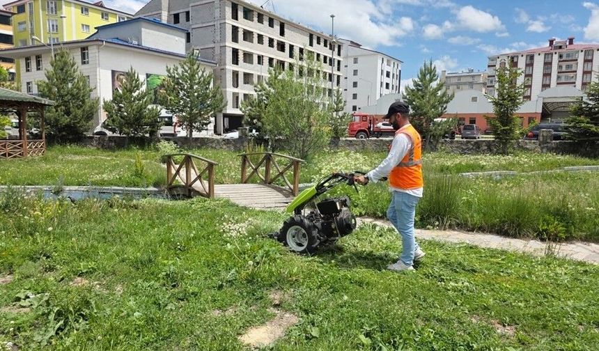 Belediye ekiplerinden yaz temizliği