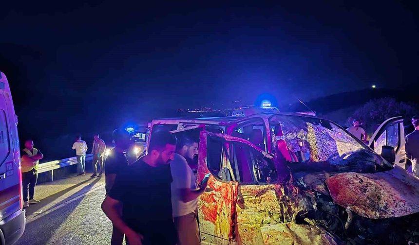 Bingöl'de panelvan yola çıkan ata çarptı: 1 ölü, 2 yaralı