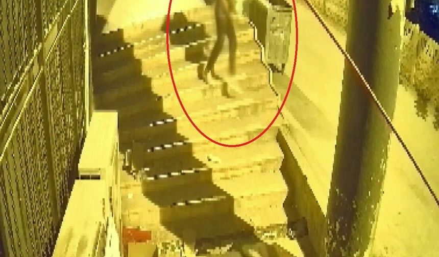 Böyle hırsızlık görülmedi: Dükkan sahibi şok oldu