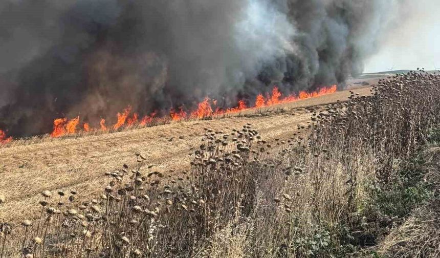 Buğday tarlası alev alev yandı