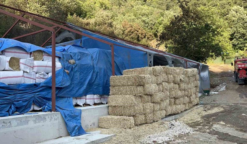 Bursa'daki orman yangınında 1 kişi gözaltına alındı