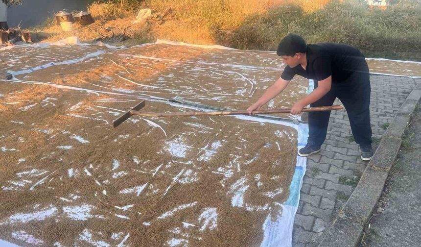 Çiçekdağı ilçesinde geleneksel bulgur yapımı başladı