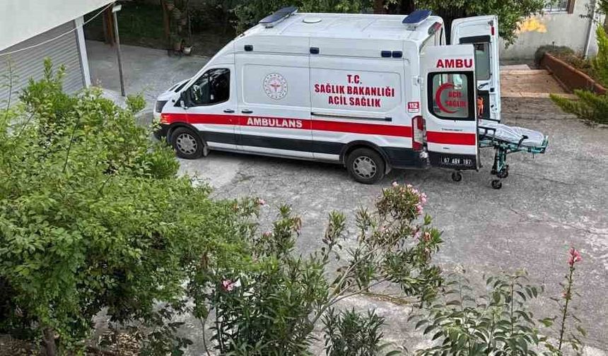 Dut toplarken ağaçtan düşüp yaralandı