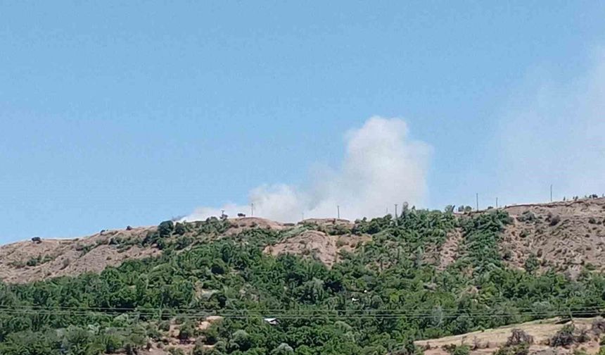 Elazığ'da arazi yangını