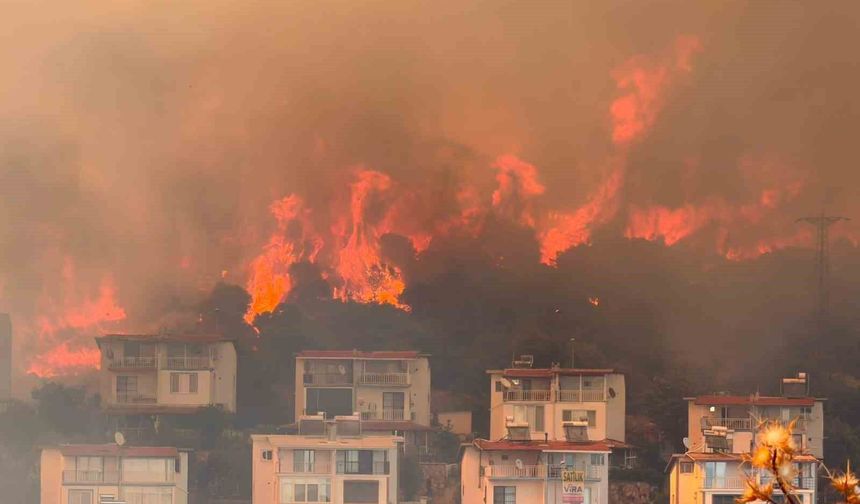 İzmir'de makilik alandaki yangın büyük ölçüde kontrol altına alındı