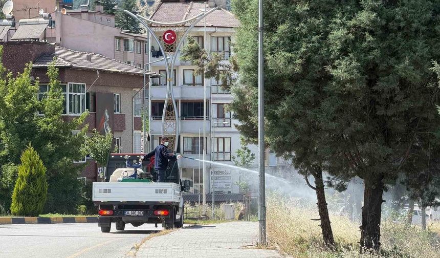 Karabük'te sinek ve haşereyle mücadele çalışmaları sürüyor