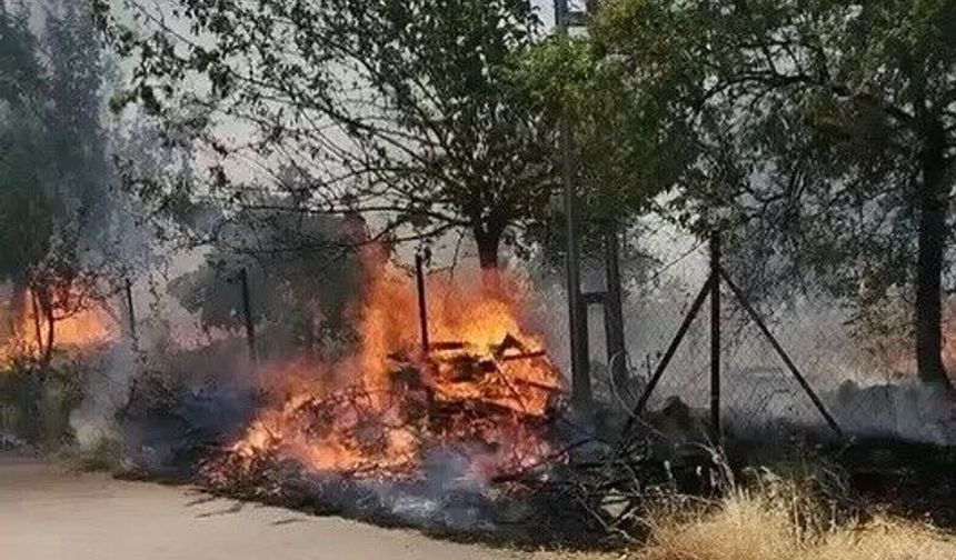 Karadağ Ormanlık alanda çıkan yangın korkuttu
