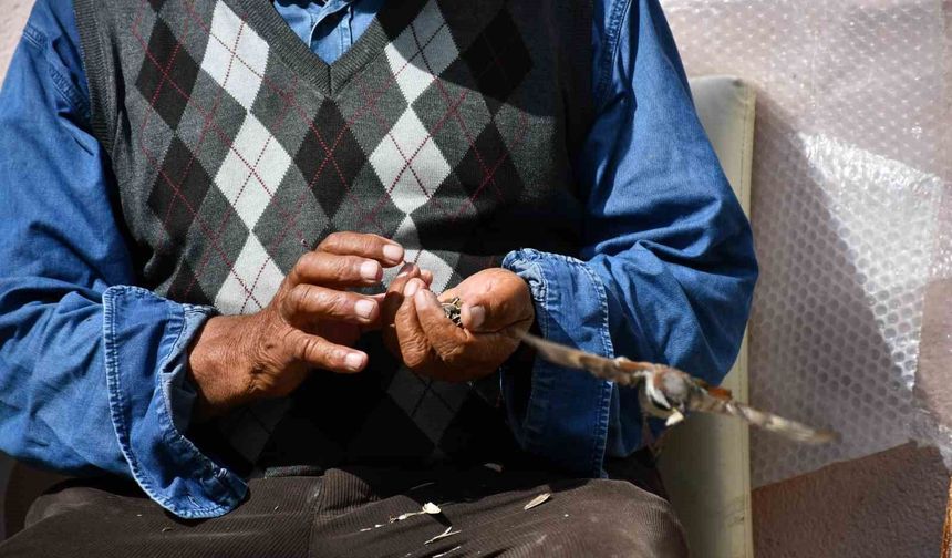 Kırdığı çekirdeklerle kuşlara sofra kuruyor