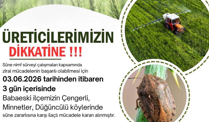 Kırklareli'nde süne zararlısına karşı ilaçlama uyarısı