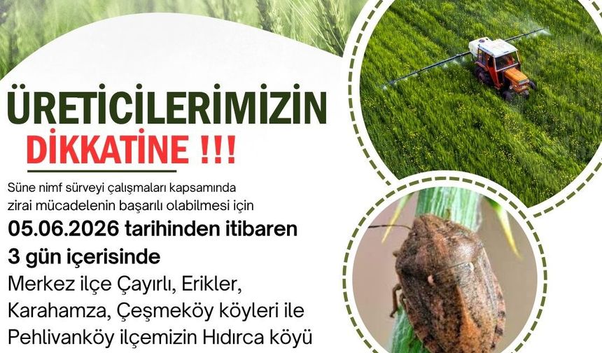 Kırklareli'nde süne zararlısına karşı ilaçlı mücadele kararı