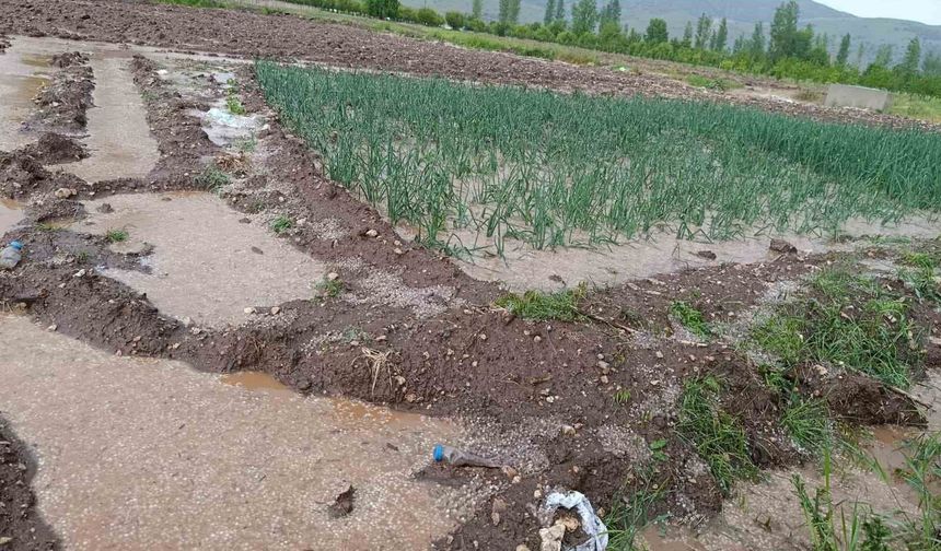 Malatya'da dolu yağışı tarım arazilerini sular altında bıraktı