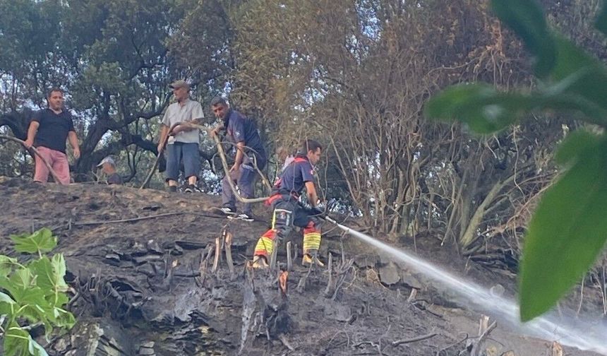 Marmara'da çıkan ot yangını ormana sıçramadan söndürüldü