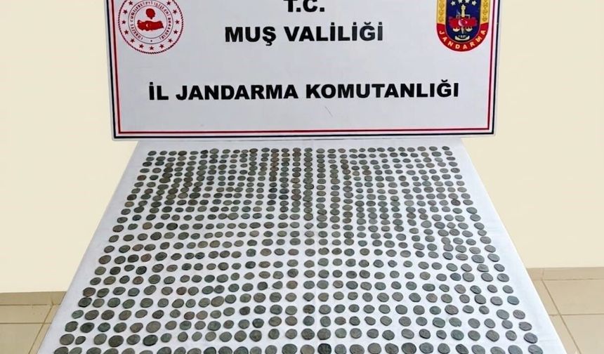Muş'ta 749 adet tarihi sikke ele geçirildi