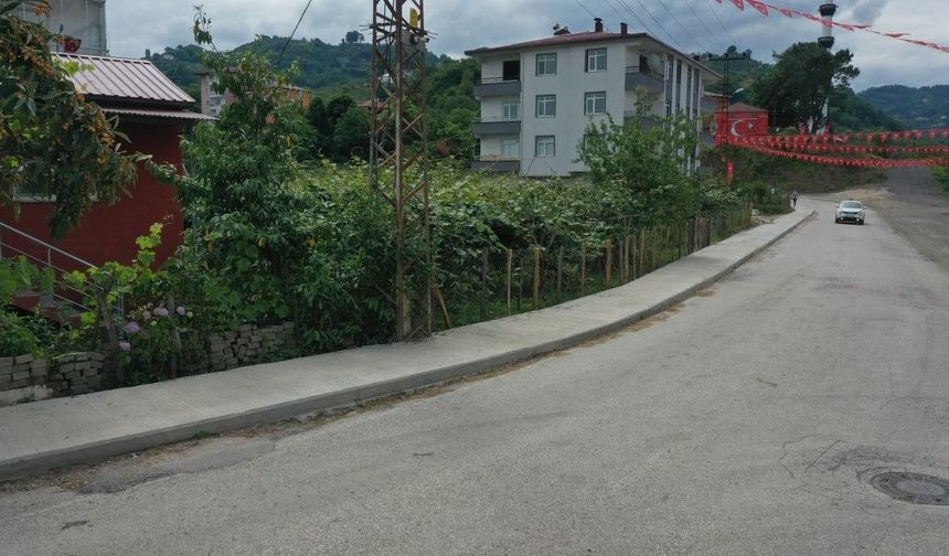 Ordu'da güvenli kaldırım çalışması
