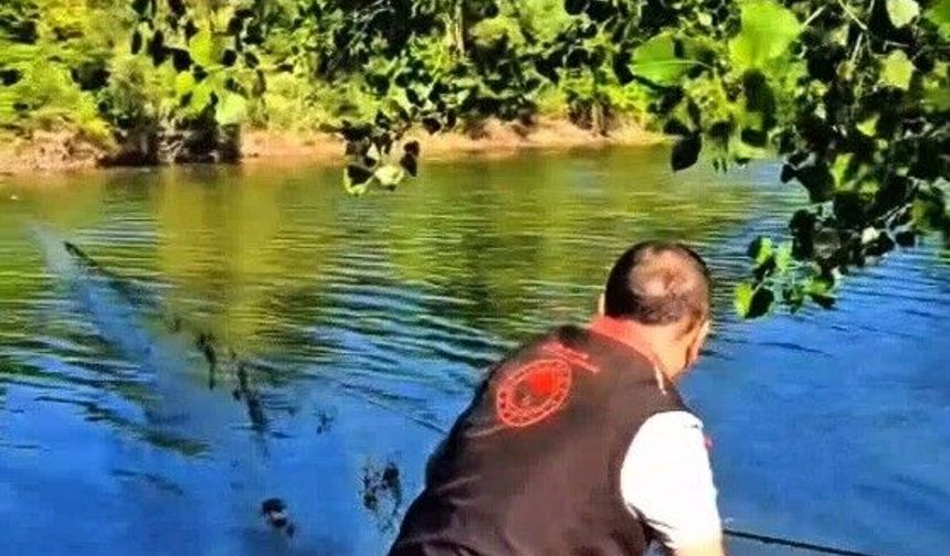 Sakarya'da nehir ve göletlerdeki kaçak ağlar tek tek toplanıyor