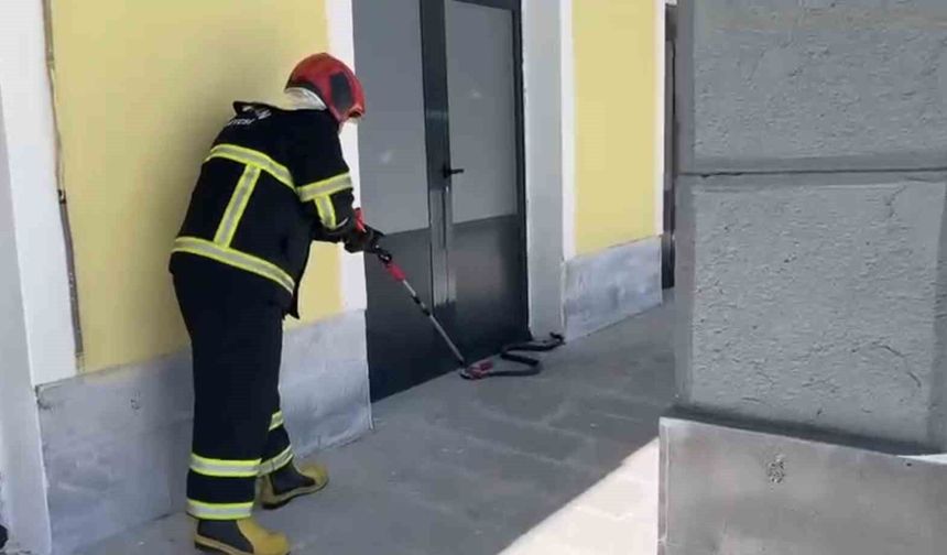 TCDD binasına giren yılan paniğe neden oldu