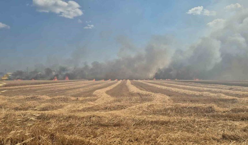Tekirdağ'da 2 farklı noktada çıkan yangın söndürüldü: 700 dönümlük alan ve 20 konteyner kül oldu