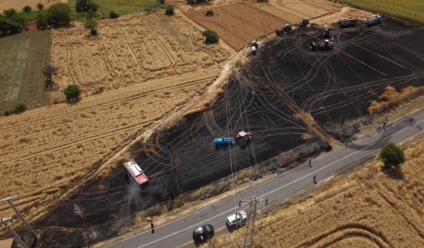 Tekirdağ'da tarım arazisinde çıkan yangın kısa sürede söndürüldü