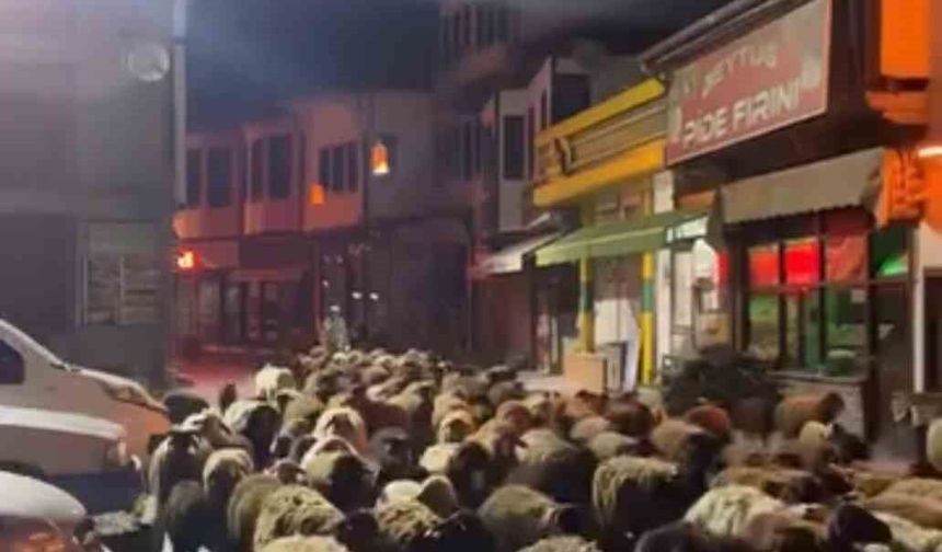 Tokat'ta yayla göçünde yüzlerce koyun şehir merkezinden geçti