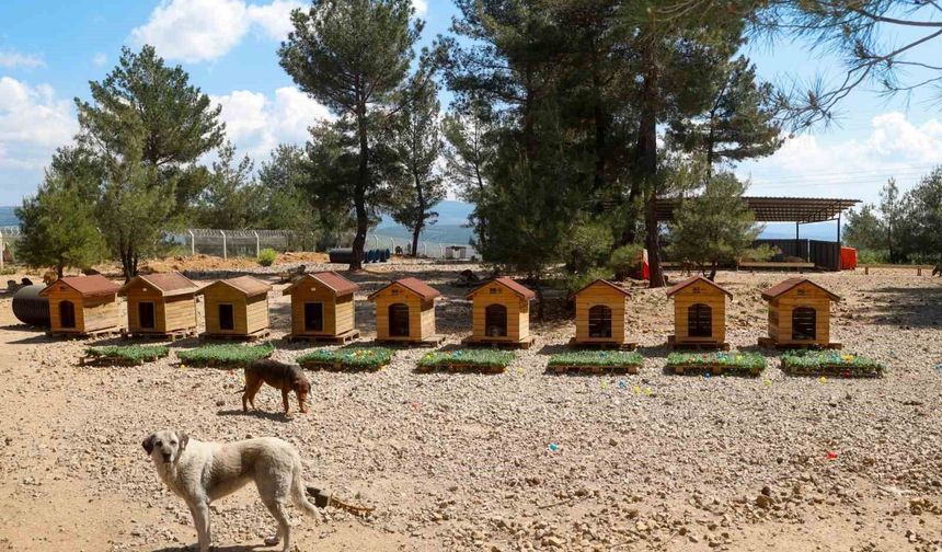 Uşak Belediyesi Başkan Vekili Özkan'dan hayvan bakımevine ziyaret