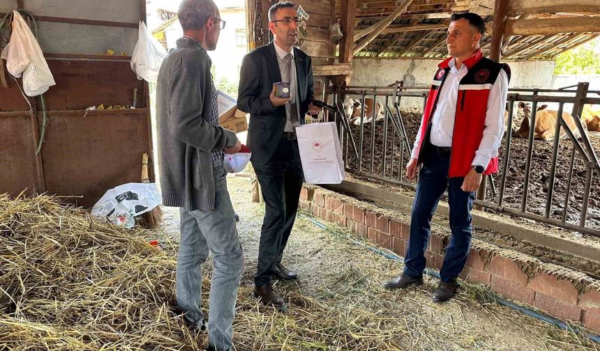 Uşak Tarım ve Orman Müdürlüğü ekipleri sahada incelemelerde bulundu